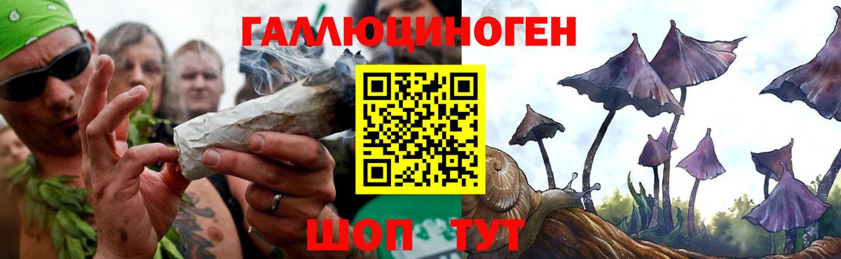 Псилоцибиновые грибы Psilocybine cubensis Салехард