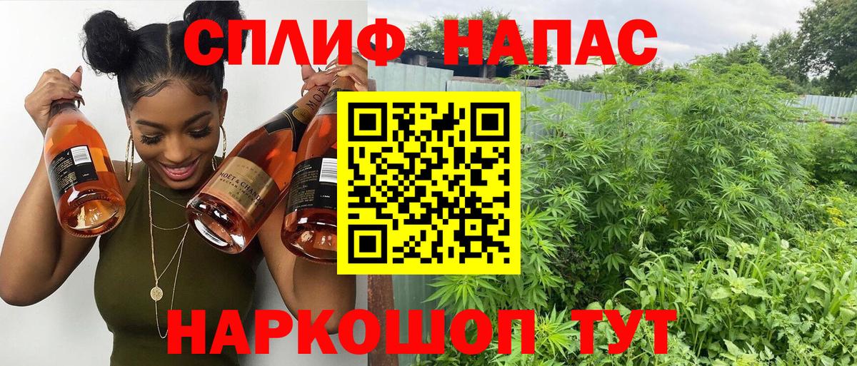 Бошки Шишки ГИДРОПОН Салехард